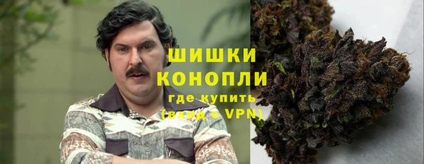 гашик Коряжма