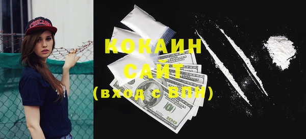 прущие грибы Корсаков
