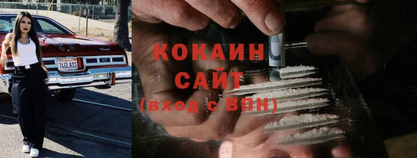 гашик Коряжма