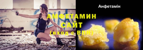 гашик Коряжма