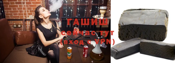 гашик Коряжма