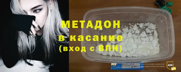 прущие грибы Корсаков