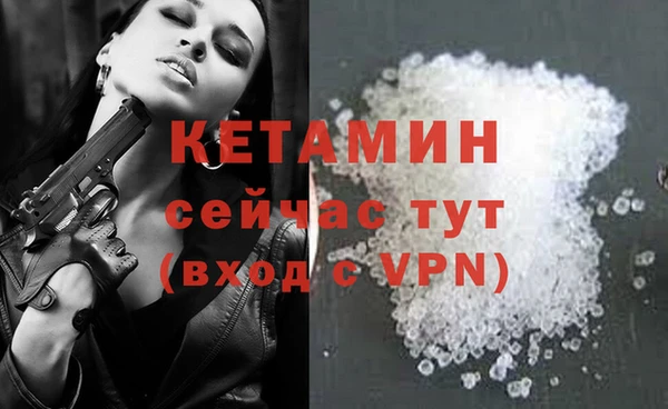 прущие грибы Корсаков