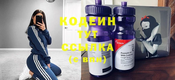 прущие грибы Корсаков