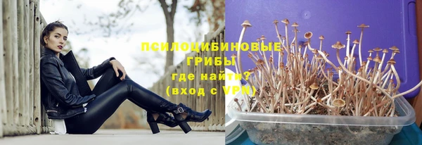 гашик Коряжма